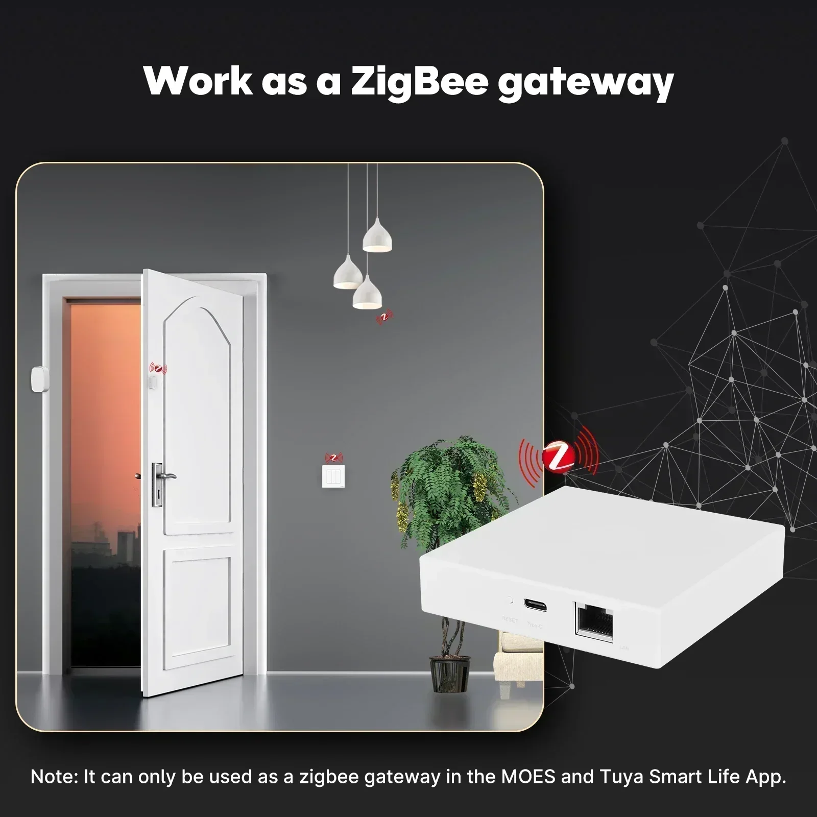MOES Tuya Zigbee Matter Thread - Smart Home Nest reseña y precio
