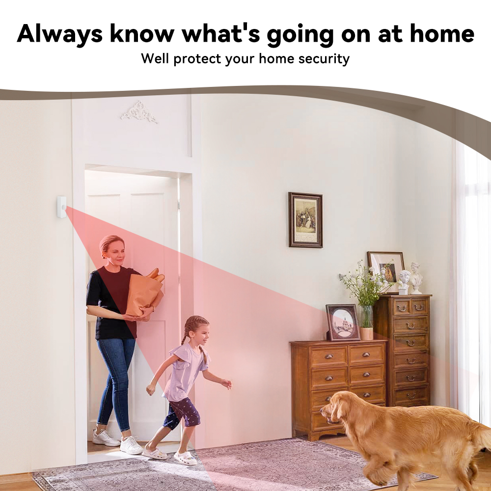 Sensor de Movimiento PIR Intel - Smart Home Ir reseña y precio