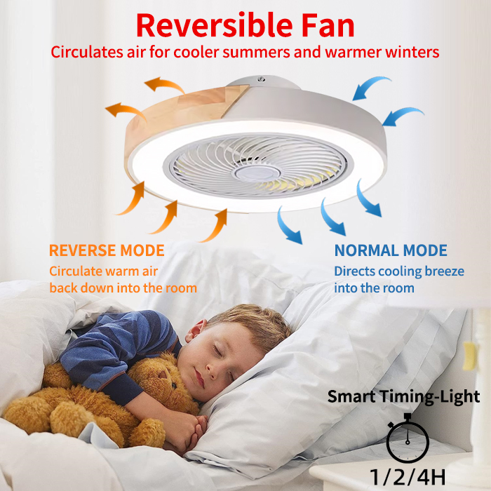 Bedroom ceiling fan light, int - Smart Ceiling Fan reseña y precio
