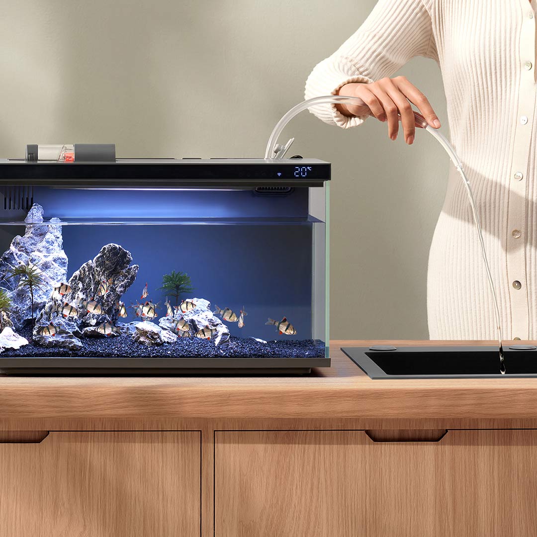 Xiaomi Mijia-tanque de peces i - Smart Home Xiaomi Kit reseña y precio